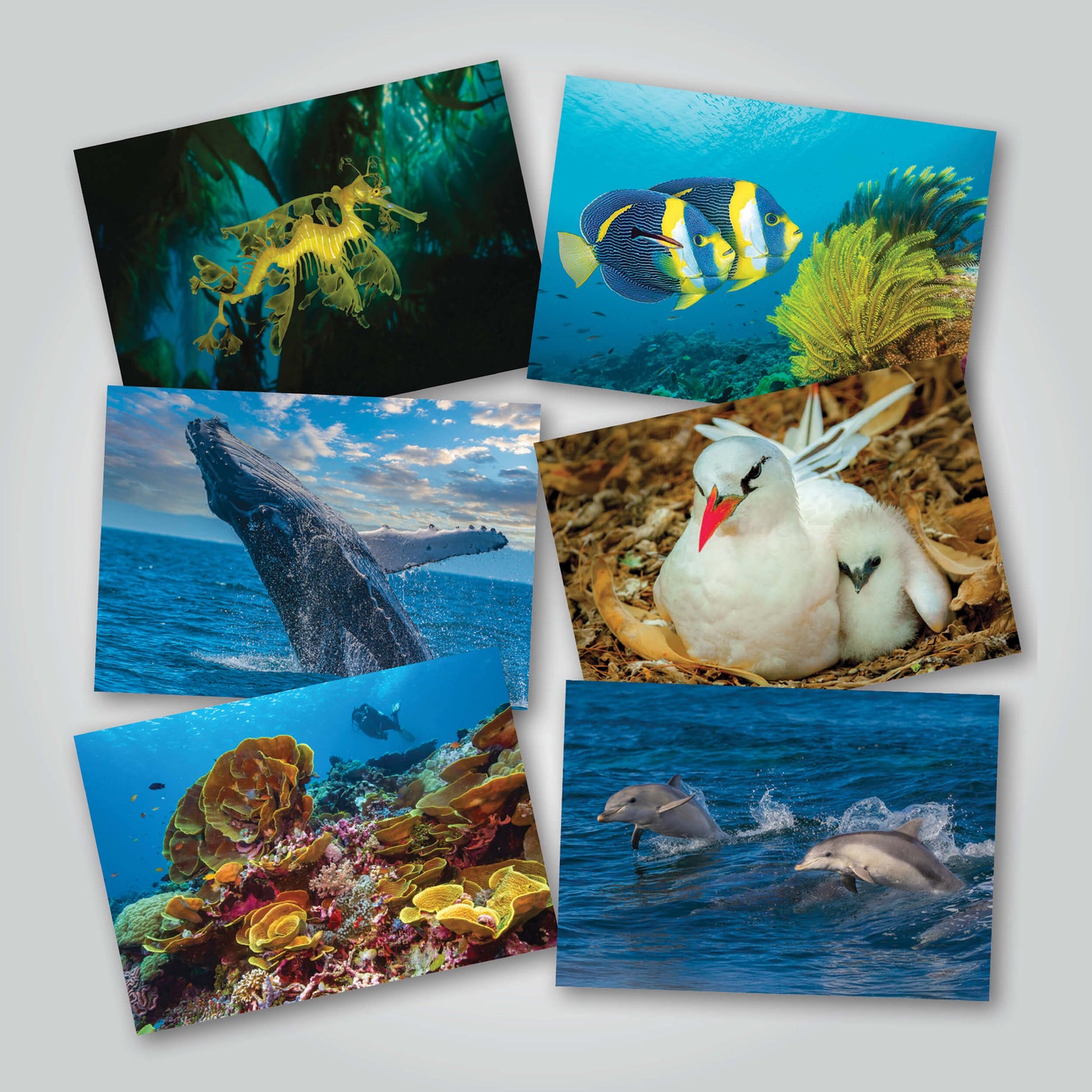 Greeting cards