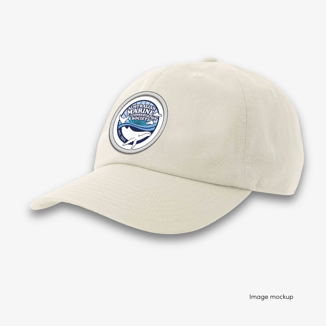 PRE-ORDER: Retro dad cap