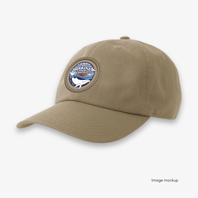 PRE-ORDER: Retro dad cap