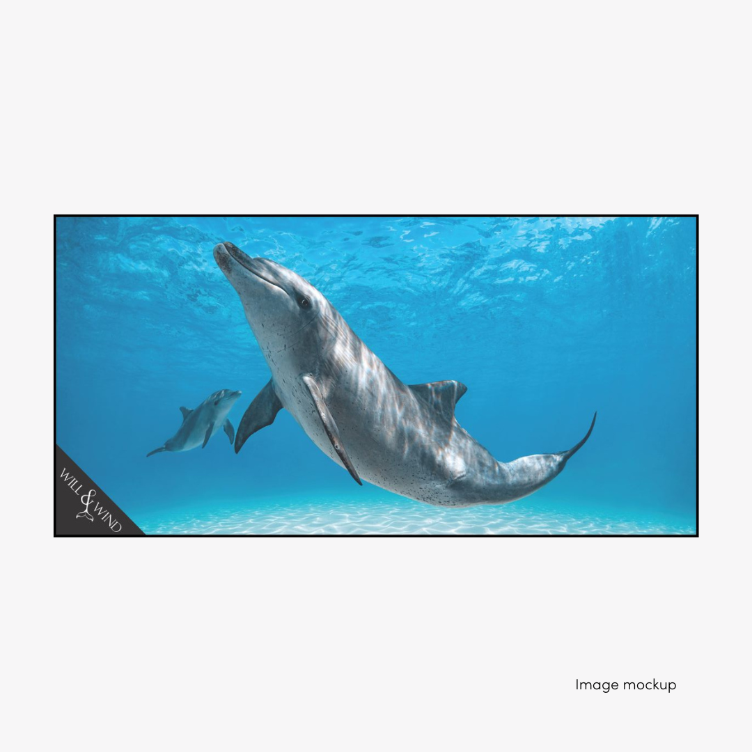 PRE-ORDER: Bottlenose Dolphin & Calf travel towel by Will & Wind