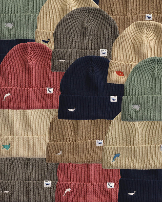 Ocean Icons organic cotton knit beanies in a range of colours embroidered with Australian marine wildlife.