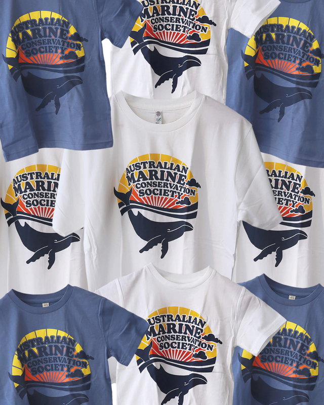 Retro cotton crew neck t-shirt collection, featuring our colourful retrospective logo, available in adult and kids sizes.