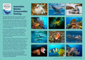 Back cover of the 2026 'Amazing Oceans' calendar, featuring 12 underwater photographs by Steve Parish of Australian marine wildlife and coral reefs.