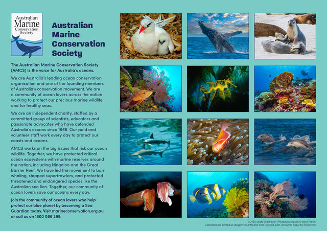 Back cover of the 2026 'Amazing Oceans' calendar, featuring 12 underwater photographs by Steve Parish of Australian marine wildlife and coral reefs.
