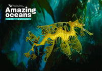 Front cover of the 2026 'Amazing Oceans' calendar, featuring an underwater photograph of a leafy seadragon by Steve Parish.