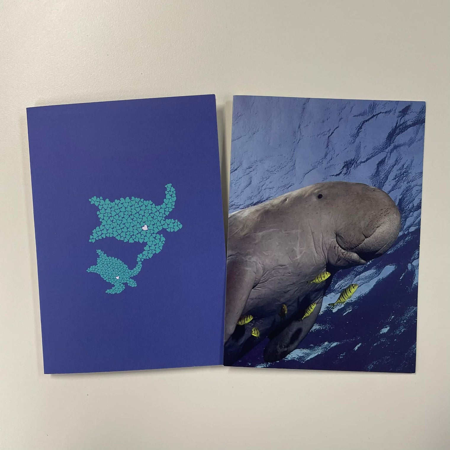 Assorted greeting card