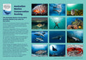 2027 Amazing Oceans calendar (back cover) featuring an underwater photography of Australia’s marine wildlife by Justin Bruhn.