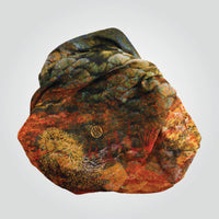 'Ocean Life' buff by Headsox in the multicoloured 'Coral Sea’ design.