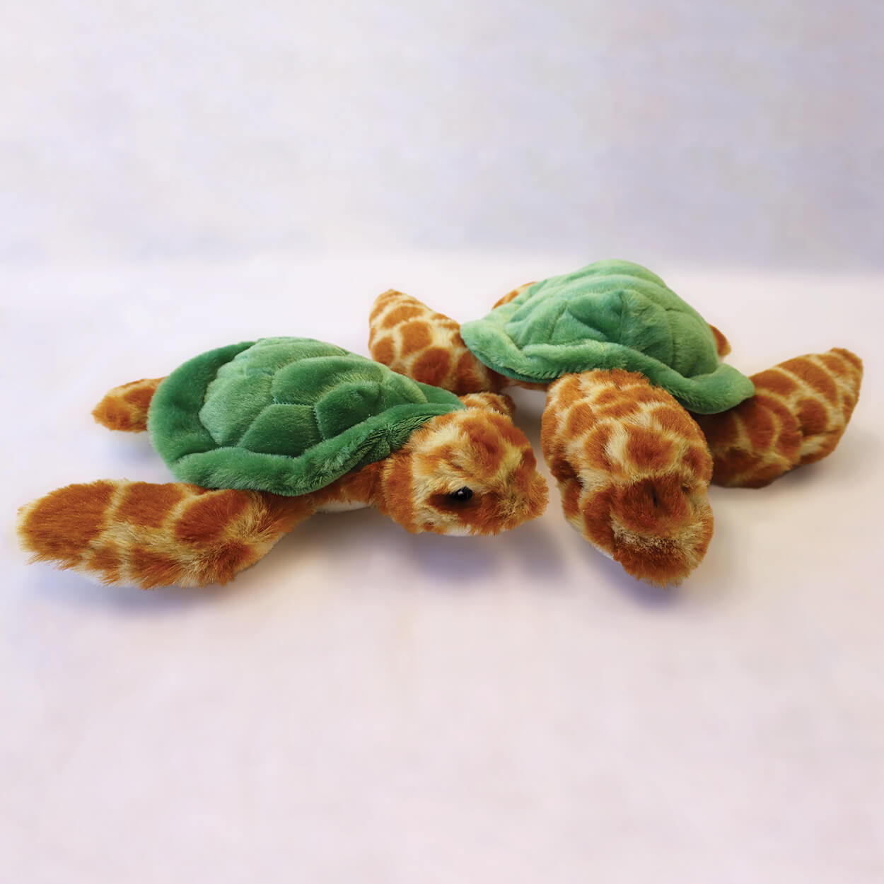 Green sea turtle ‘Eco Mates’ recycled, plush toys (small and large pair).