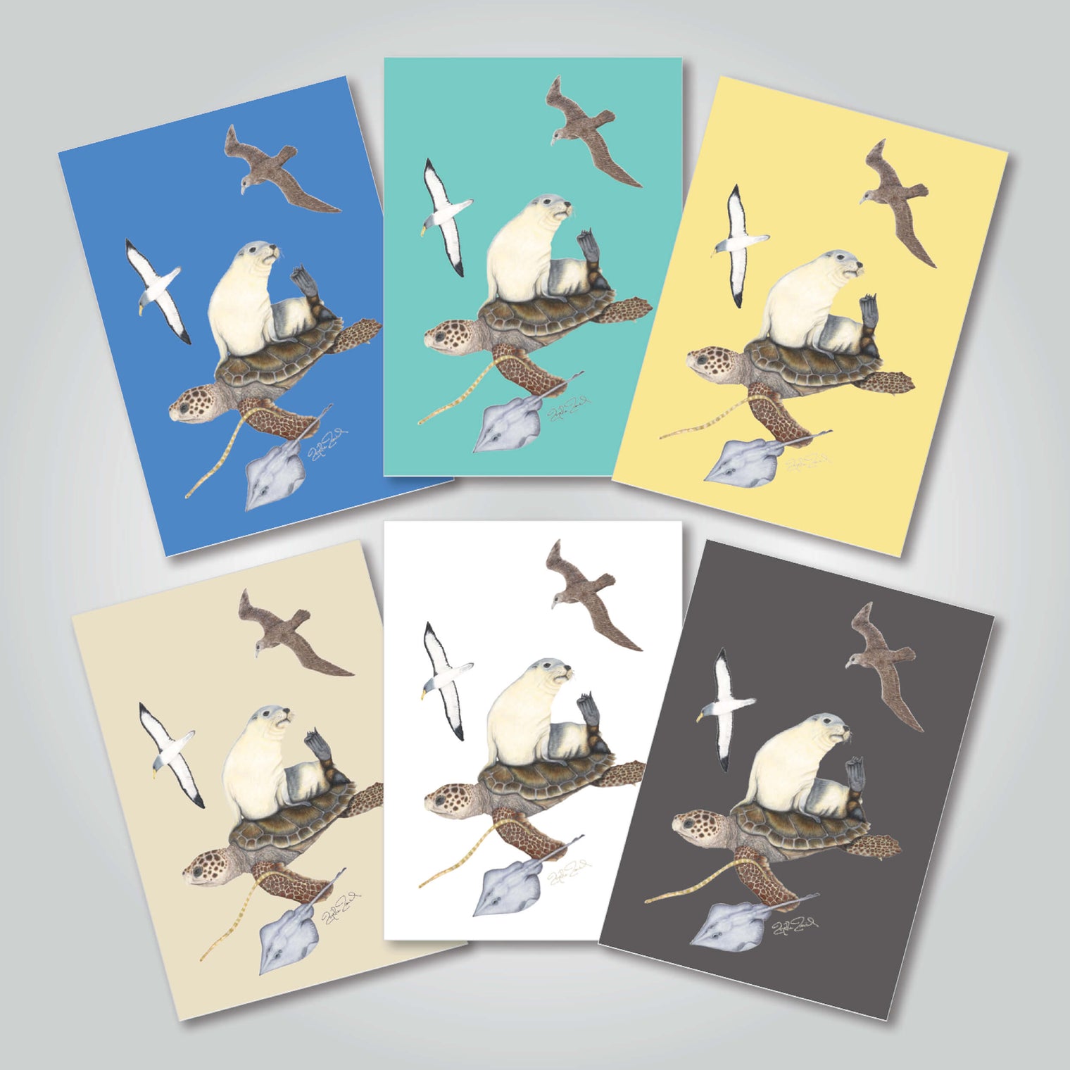 Collection of six different coloured gift cards with artwork of Australia’s marine wildlife.