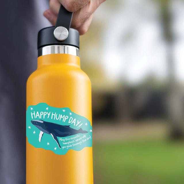 ‘Happy Hump Day’ outdoor UV-resistant sticker adhered to a water bottle, with an illustration print of a humpback whale by Red Parka.