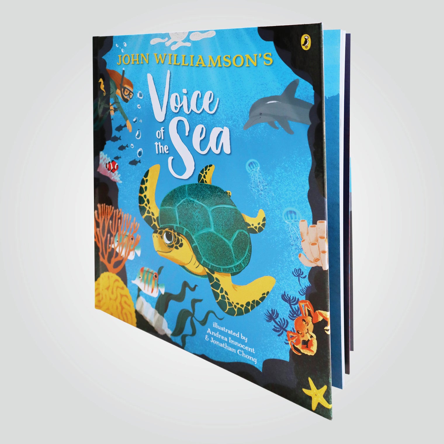 Voice of the Sea book by John Williamson