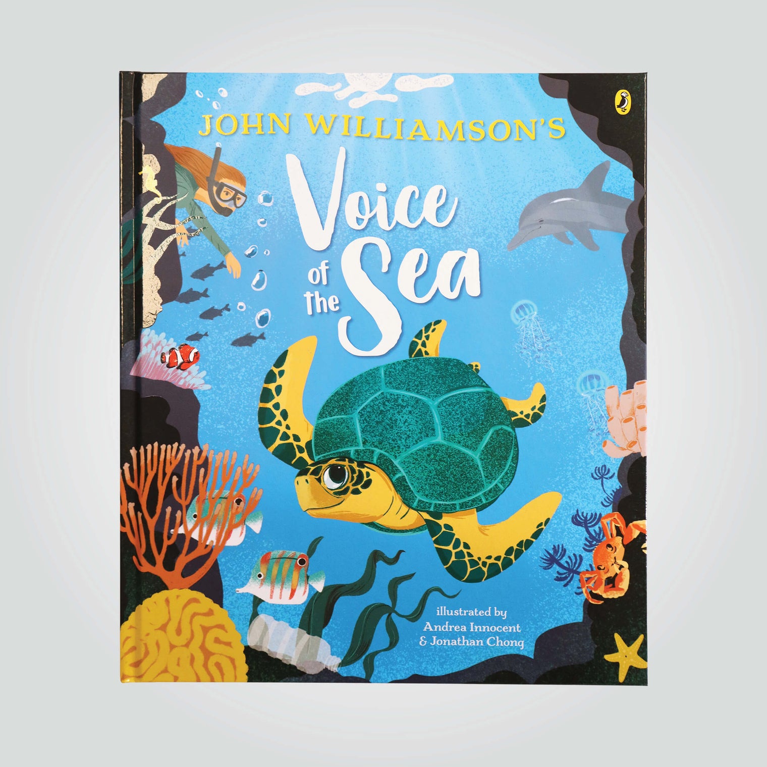 Voice of the Sea book by John Williamson