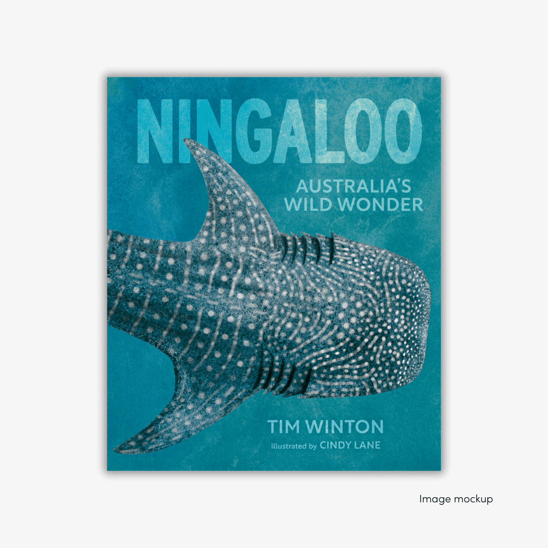 'Ningaloo' cover; written by Tim Winton and illustrated by Cindy Lane, featuring a swimming whale shark.