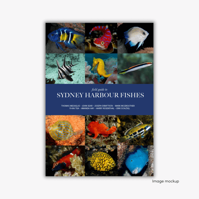 'Sydney Harbour Fishes' cover, featuring an assortment of beautiful and unique marine life.
