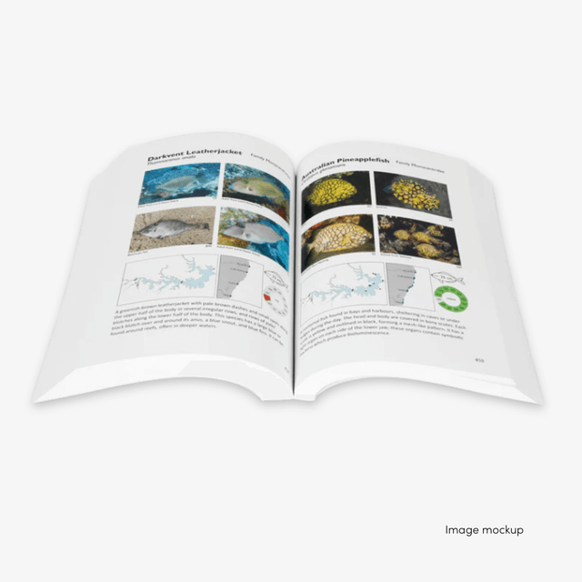 'Sydney Harbour Fishes' inside spread, featuring an assortment of beautiful and unique marine life.